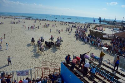 Agrandir l'image 2 sur 15, fenêtre modale