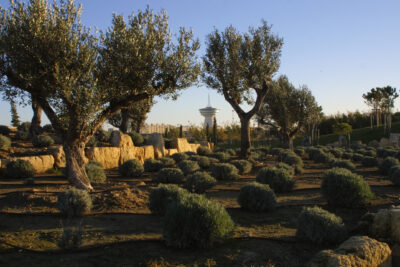 Agrandir l'image 11 sur 15, fenêtre modale