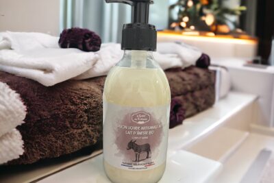 Agrandir l'image 11 sur 17, fenêtre modale