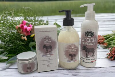 Agrandir l'image 17 sur 17, fenêtre modale