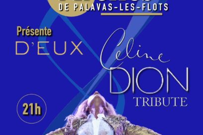 Ribera organisation - Agrandir l'image, fenêtre modale