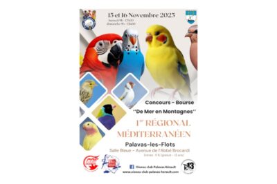 Affiche Concours international de l'Oiseau Club Palavas Hérault - Agrandir l'image 1 sur 1, fenêtre modale