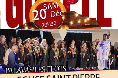 Agrandir l'image 3 sur 3, fenêtre modale